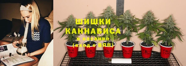 альфа пвп Заводоуковск