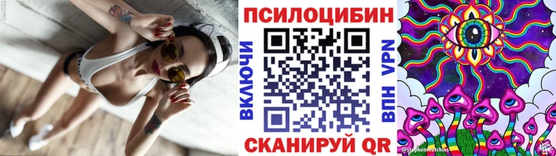 где найти   кракен зеркало  Галлюциногенные грибы Psilocybine cubensis  Карпинск 